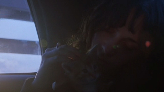 Winter Passing - Reese Zooey Deschanel in taxi with orange tabby kitten Spike close up