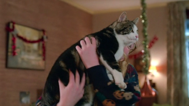 Wiplala - cat Vlieg Fly back to normal held by Nella Della Kee Ketelaar