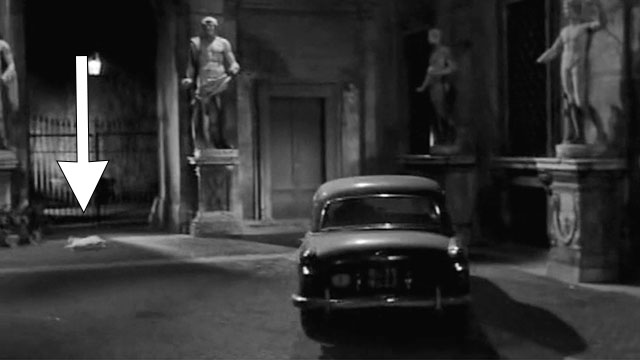 La Strega in Amore - The Witch in Love - white cat running across driveway