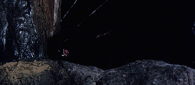 The Witchmaker - black cat in hollow of cave hissing