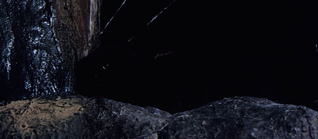 The Witchmaker - black cat in hollow of cave hissing