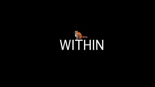 Within - orange and white cat animated Monty on final credit