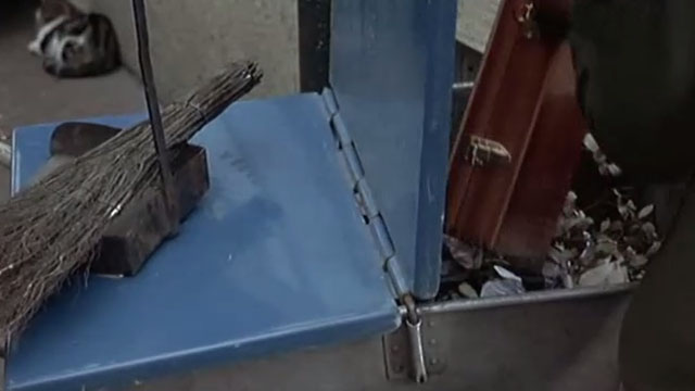 Without Apparent Motive - tabby and white cat sitting on sidewalk beside garbage push cart