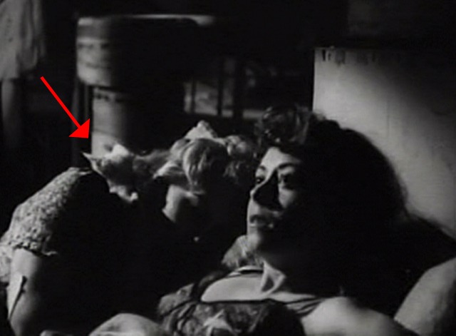 Without Pity - Angela with white kitten lying on her shoulder and Marcella in bed