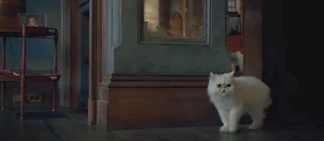 The Woman in the Window - white Persian cat Punch