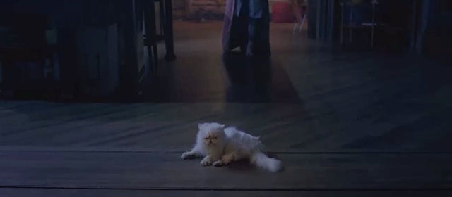 The Woman in the Window - white Persian cat Punch on floor