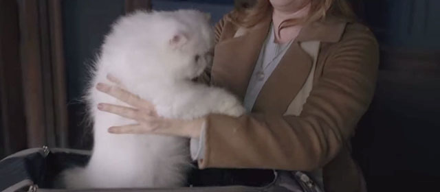 The Woman in the Window - white Persian cat Punch being placed into carrying case by Anna Amy Adams
