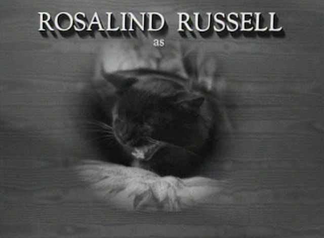 The Women - black cat hissing