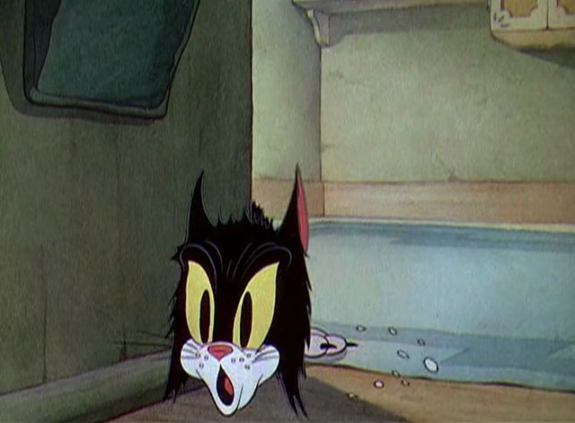 The Worm Turns - black and white cartoon cat looking shocked