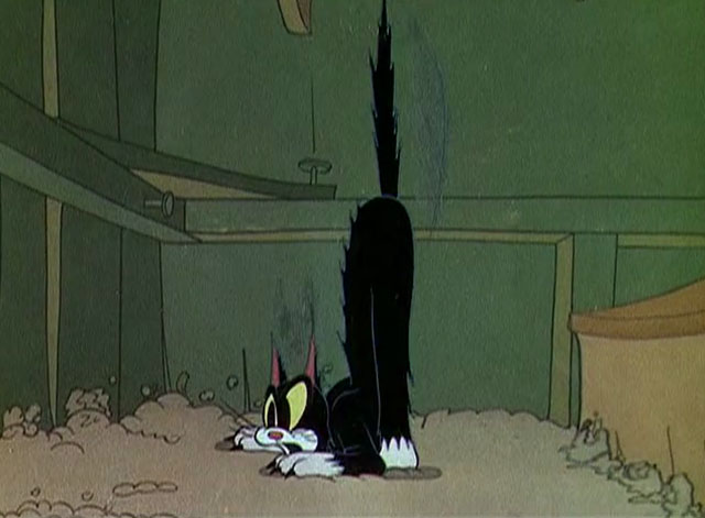 The Worm Turns - black and white cartoon cat looking shocked