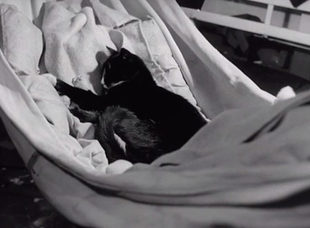 The Yangtse Incident - black and white tuxedo ship cat Simon lying in hammock