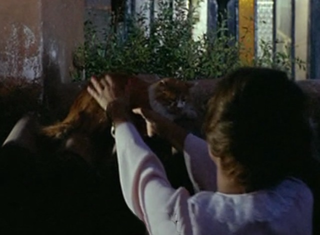 Yesterday, Today and Tomorrow - Mara reaches up to pick up orange and white cat