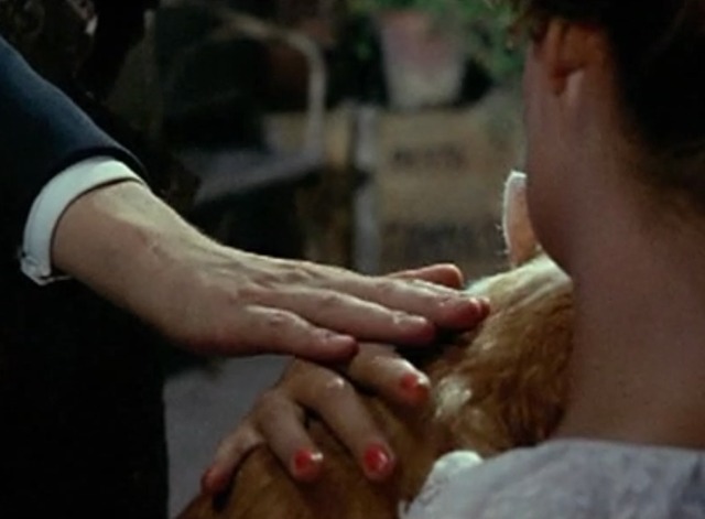 Yesterday, Today and Tomorrow - Mara and Umberto petting orange and white cat