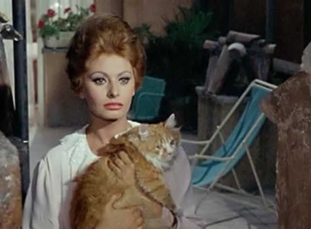 Yesterday, Today and Tomorrow - Mara holding orange and white cat as Umberto's grandmother insults her