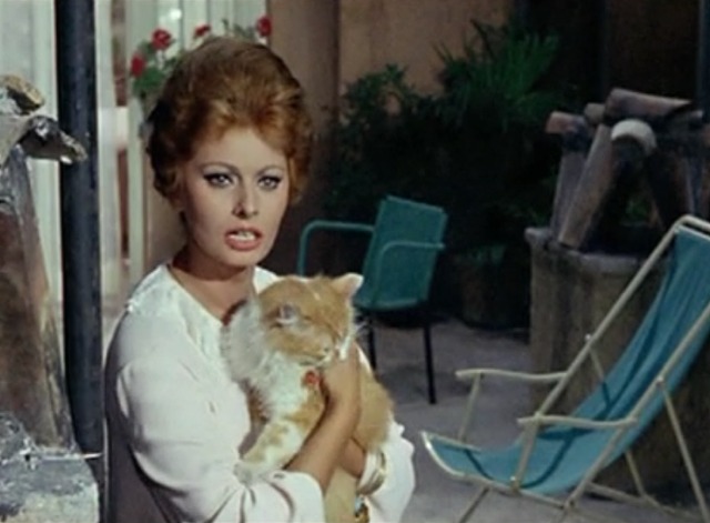 Yesterday, Today and Tomorrow - orange and white cat nips Mara's hand