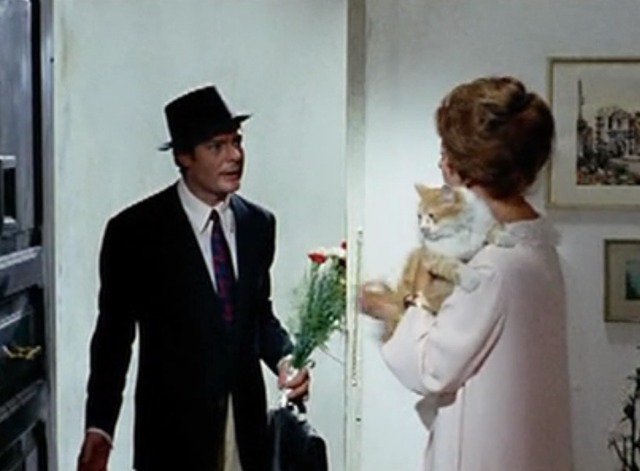 Yesterday, Today and Tomorrow - Mara holding orange and white cat as she opens the door to Augusto