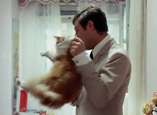 Yesterday, Today and Tomorrow - Augusto picking up orange and white cat by scruff