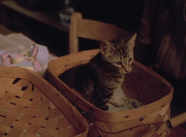 Yes Virginia, There is a Santa Claus - brown tabby kitten Nicky in basket