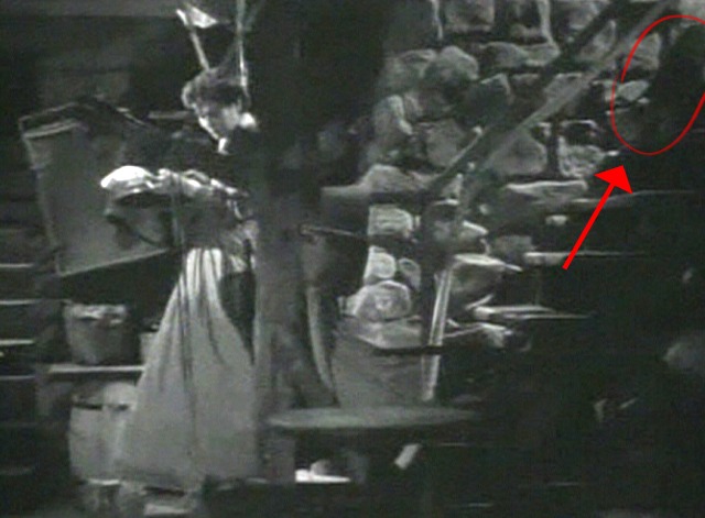 Young Tom Edison - tabby cat following Mrs. Edison downstairs