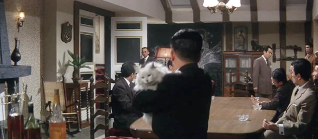Youth of the Beast - Tatsuo Nomoto Akiji Kobayashi turning to throw knives while holding large longhair white cat with black markings in conference room