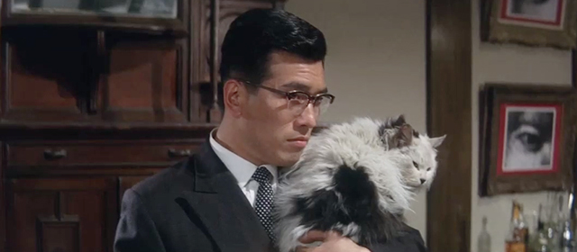Youth of the Beast - Tatsuo Nomoto Akiji Kobayashi holding large longhair white cat with black markings
