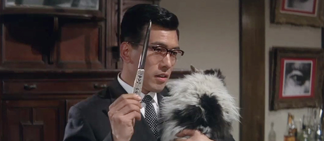 Youth of the Beast - Tatsuo Nomoto Akiji Kobayashi holding knife and large longhair white cat with black markings