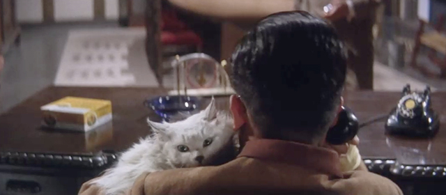 Youth of the Beast - Tatsuo Nomoto Akiji Kobayashi holding large longhair white cat with black markings at desk