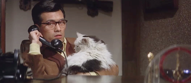 Youth of the Beast - Tatsuo Nomoto Akiji Kobayashi holding large longhair white cat with black markings at desk