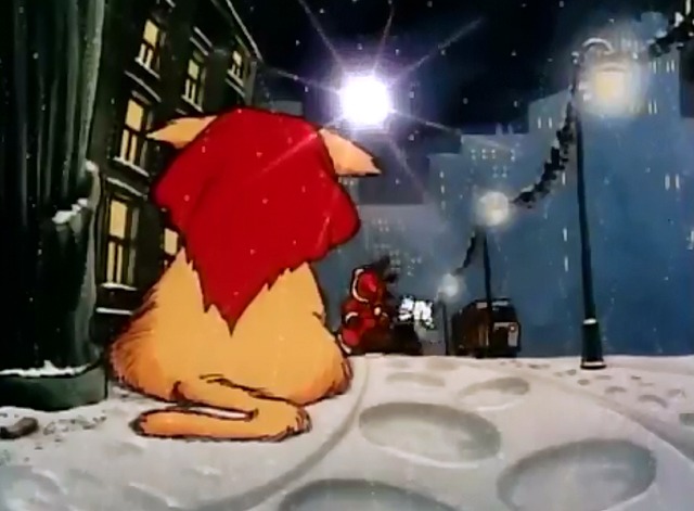 Ziggy's Gift - kitten cat watches Ziggy walk away