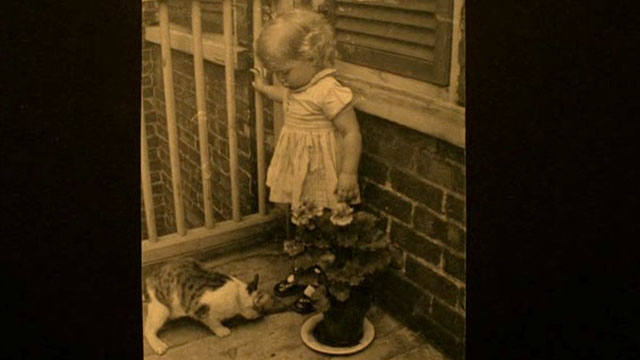 Tante Zite - old photograph of little girl with bicolor tabby cat