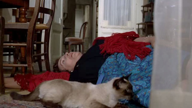 Tante Zite - Siamese cat on floor beside Tante Zita Katina Paxinou