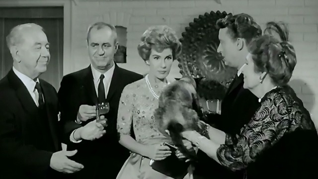 Zotz! - Siamese cat Hercules handed by Margaret Dumont to Cecil Kellaway