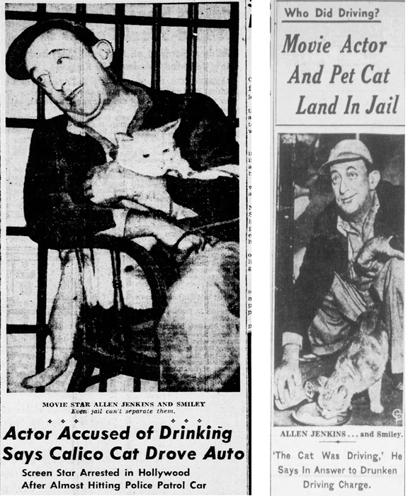 articles about Allen Jenkins and his cat Smiley in jail