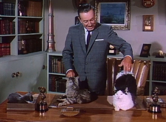 Behind the Scenes of Thomasina - Walt Disney introduction for The Three Lives of Thomasina with cats