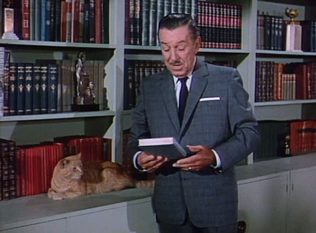 Behind the Scenes of Thomasina - Walt Disney introduction for The Three Lives of Thomasina with ginger cat