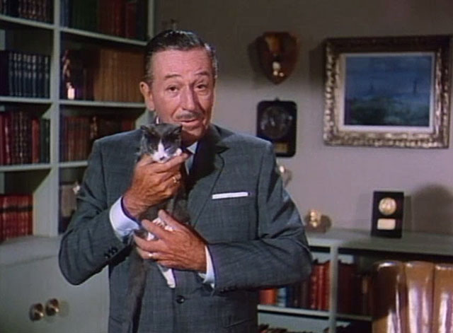 Behind the Scenes of Thomasina - Walt Disney introduction for The Three Lives of Thomasina holding grey tuxedo kitten