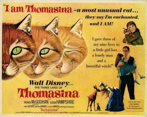 Behind the Scenes of Thomasina - lobby card for theatrical showing of Thomasina from 1964