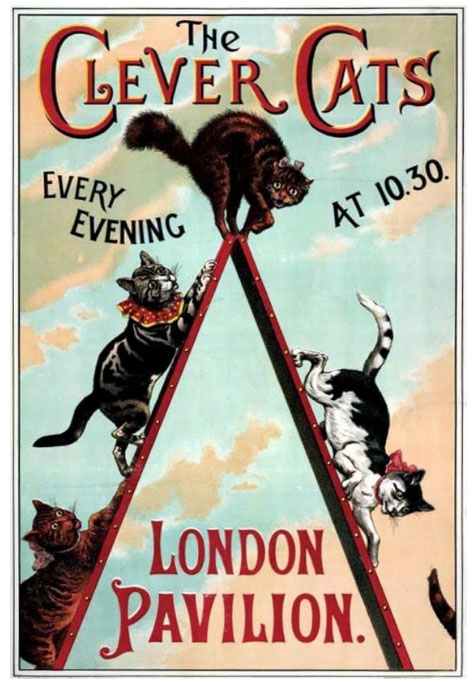 poster for Leoni Clarke's Clever Cats circa 1901