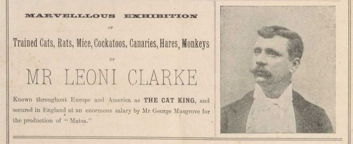 publicity ad for Mr. Leoni Clark, The Cat King