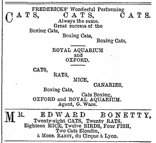 ad for Fredericks' and Bonetti's performing cats from theatrical magazine The Era