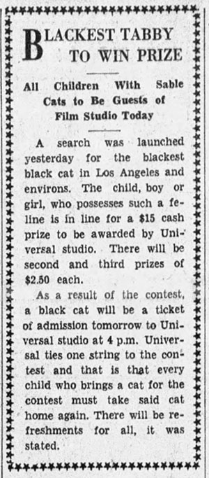 Calling All Black Cats - newspaper article about black cat contest