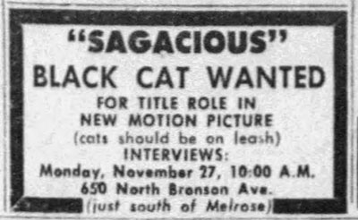 Calling All Black Cats - newspaper ad for sagacious black cat for movie role Tales of Terror