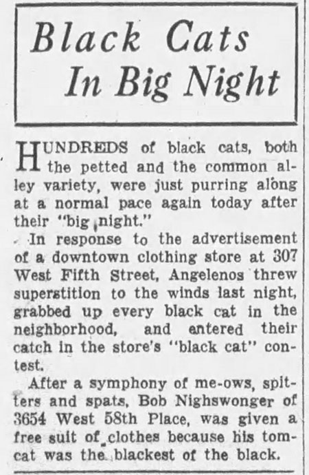 Calling All Black Cats - newspaper article black cat contest entry
