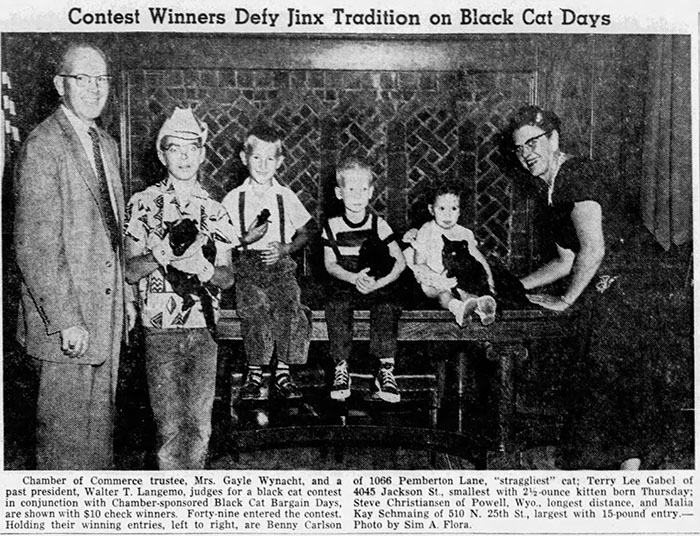 Calling All Black Cats - newspaper article with black cat contest winners