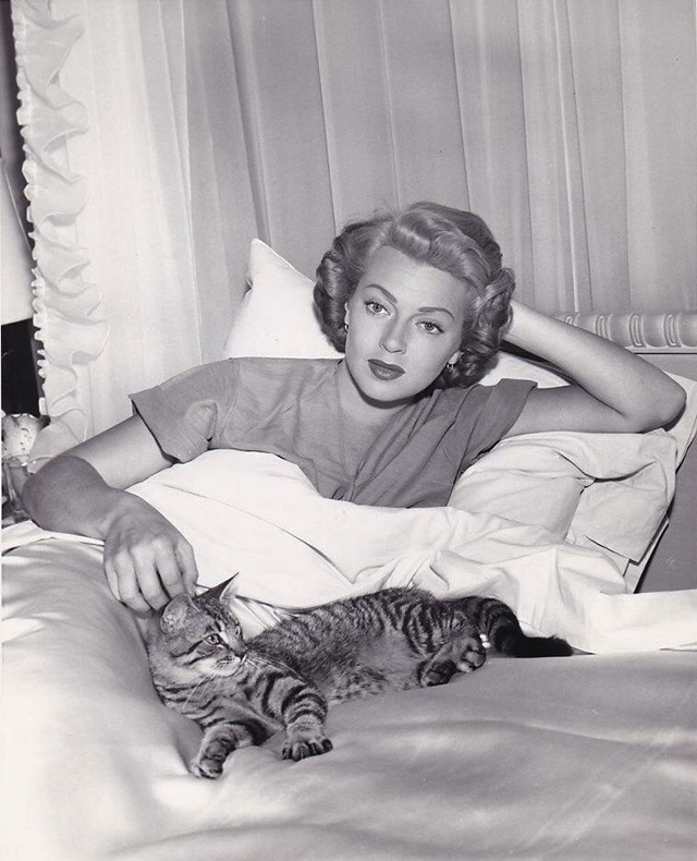 Cass Timberlane - Virginia Lana Turner lying on bed with tabby cat Cleo