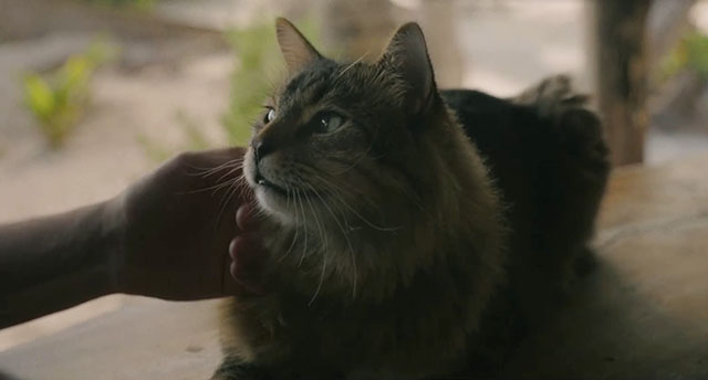 Tonic from the film Caught Stealing