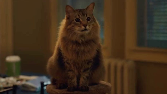 Tonic as Dewey in the horror film Thanksgiving