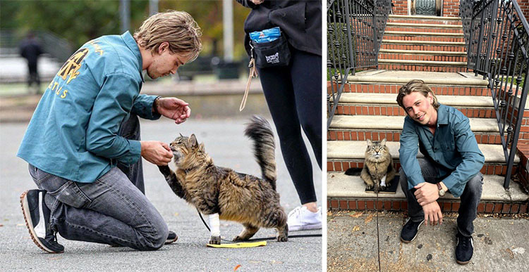 actor Austin Butler with cat actor Tonic on the set of Caught Stealing