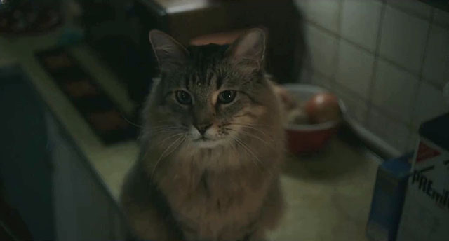 Tonic as Bud in the film Caught Stealing