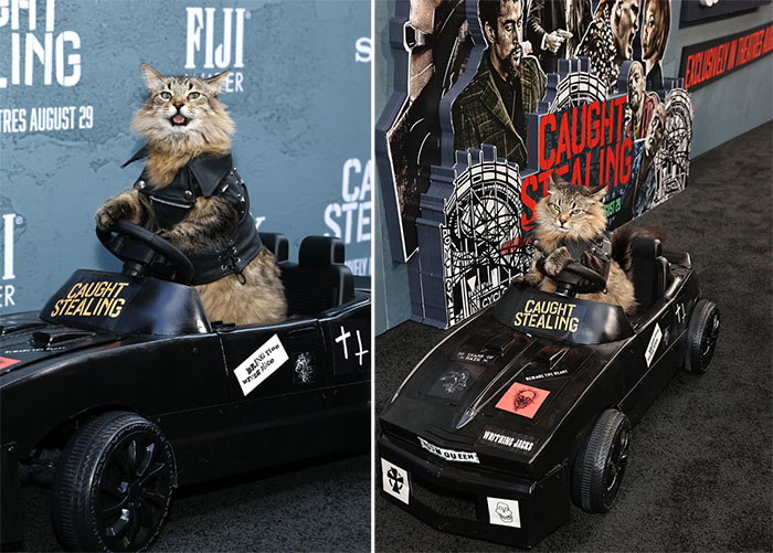 Tonic driving car on the red carpet at the Caught Stealing premiere